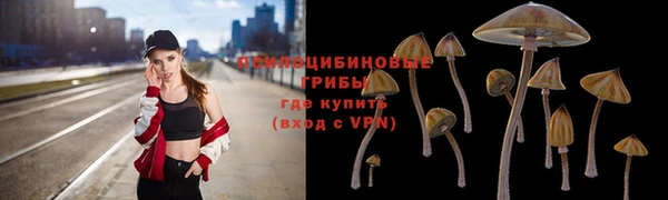 jwh Абаза