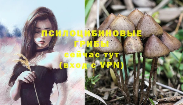первитин Абдулино
