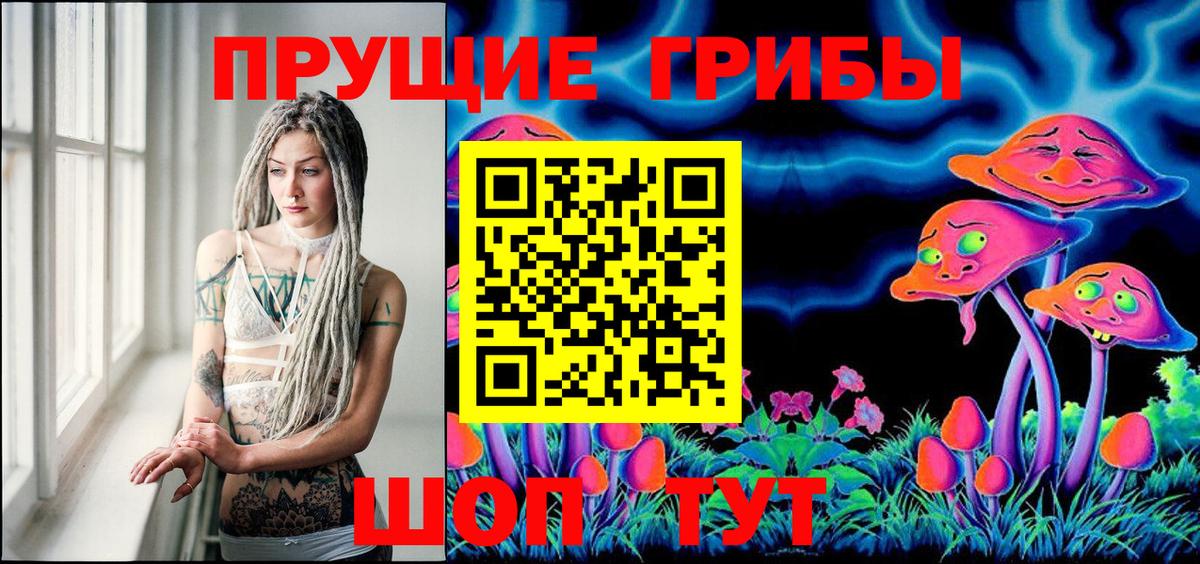 Псилоцибиновые грибы Psilocybine cubensis  Вход с VPN  Галлюциногенные грибы Cubensis  Энгельс 
