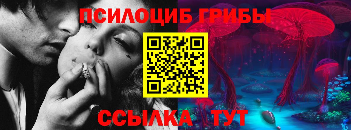 Псилоцибиновые грибы GOLDEN TEACHER Энгельс